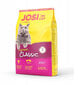 Kuivtoit Josera JosiCat Classic steriliseeritud kassidele, 650 g hind ja info | Kuivtoit kassidele | kaup24.ee