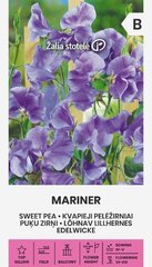 Душистый Горошек Mariner цена и информация | Семена цветов | kaup24.ee