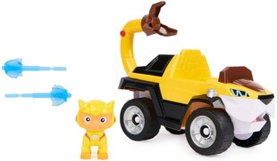 Pack Auto sõidukite komplekt Paw Patrol Leo Cat figuur цена и информация | Игрушки для мальчиков | kaup24.ee