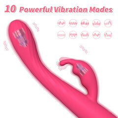Naiste vibraator kliitori stimuleerimiseks hind ja info | Vibraatorid | kaup24.ee
