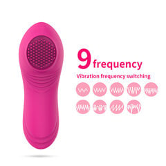 Naiste püksikute vibraator Dark Red Brand hind ja info | Vibraatorid | kaup24.ee