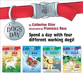 Dog's Day Set #1-4 цена и информация | Книги для подростков и молодежи | kaup24.ee