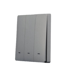 Передняя панель SmartWise, темно-серый, 3-кнопочный. цена и информация | Выключатели, розетки | kaup24.ee