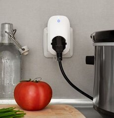 Shelly Plug WiFi nutipistik koos võimsusmõõturiga (16A) цена и информация | Выключатели, розетки | kaup24.ee