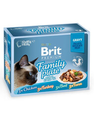 Brit Premium Gravy fillet Family plate komplekt, 48x85 g hind ja info | Konservid kassidele | kaup24.ee