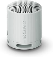 Sony SRSXB100H.CE7 цена и информация | Аудио колонки | kaup24.ee