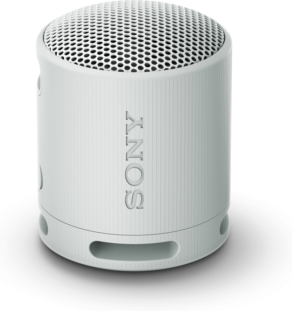 Sony SRSXB100H.CE7 hind ja info | Kõlarid | kaup24.ee