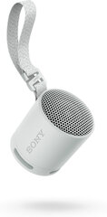 Sony SRSXB100H.CE7 цена и информация | Аудиоколонки | kaup24.ee