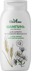 Shampoon kuivadele juustele Eco Line, 400ml hind ja info | Šampoonid | kaup24.ee