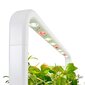 Click & Grow Smart Garden 9 hind ja info | Nutipotid ja taimelambid | kaup24.ee