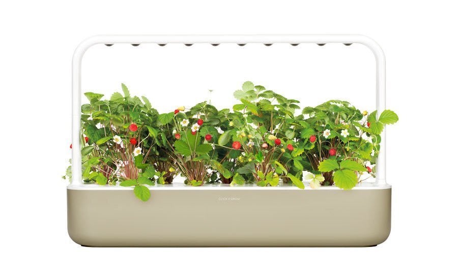 Click & Grow Smart Garden 9 hind ja info | Nutipotid ja taimelambid | kaup24.ee