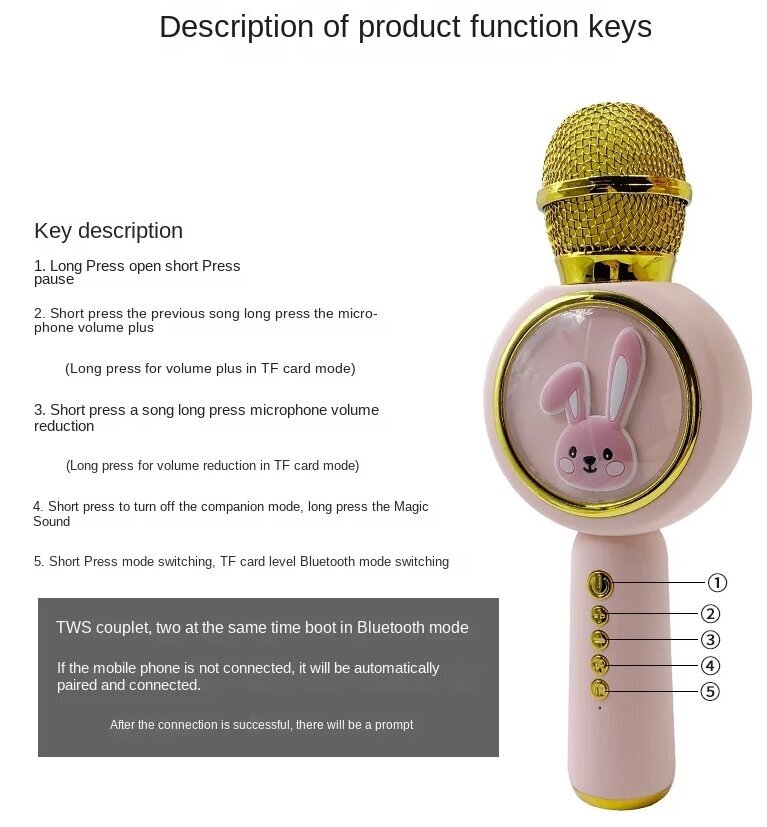 Karaokemikrofon Bluetooth TWS, valge hind ja info | Arendavad mänguasjad | kaup24.ee