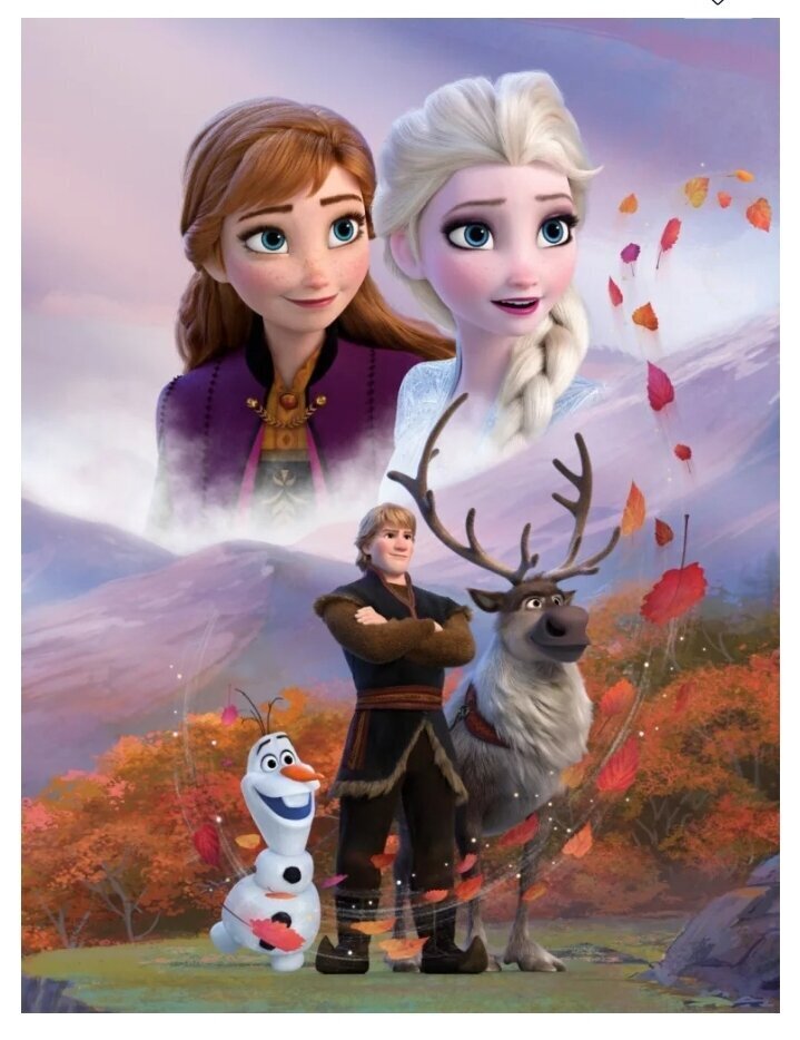 Laste pleed Disney Frozen 130x170cm hind ja info | Voodikatted, pleedid | kaup24.ee