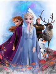 Laste pleed Disney Frozen 130x170cm цена и информация | Покрывала, пледы | kaup24.ee