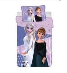 Детский комплект постельного белья Disney Frozen 100x135cm+40x60cm, 2 части цена и информация | Детское постельное бельё | kaup24.ee