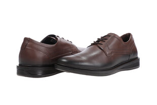 Туфли мужские Pegada, коричневые 99819_2090-46 цена и информация | Мужские ботинки | kaup24.ee