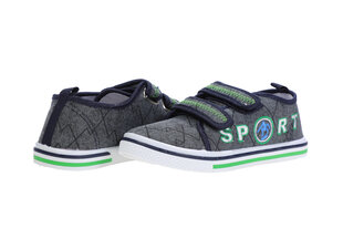 Spordijalatsid poistele Scandi, hallid, 77472_5990 цена и информация | Детская спортивная обувь | kaup24.ee