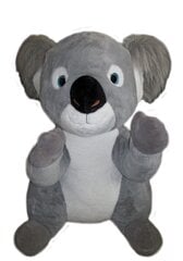 Pehme mänguasi koala K1204 hind ja info | Pehmed mänguasjad | kaup24.ee
