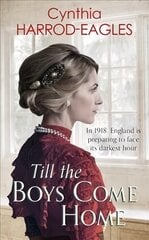 Till the Boys Come Home: War at Home, 1918 цена и информация | Фантастика, фэнтези | kaup24.ee