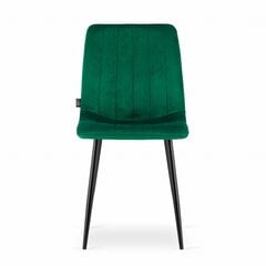 Комплект из 3 стульев Lava, зеленый цена и информация | Стулья для кухни и столовой | kaup24.ee