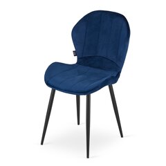 2-tooli komplekt Terni, sinine hind ja info | Söögitoolid, baaritoolid | kaup24.ee