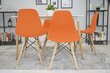 2-tooli komplekt Osaka, oranž/pruun цена и информация | Söögitoolid, baaritoolid | kaup24.ee