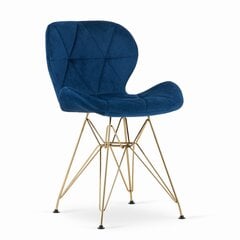 3-tooli komplekt Nest, sinine hind ja info | Söögilaua toolid, köögitoolid | kaup24.ee