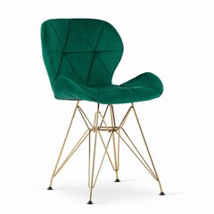 Комплект из 2-х стульев Nest, зеленый цена и информация | Стулья для кухни и столовой | kaup24.ee