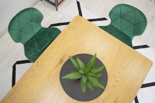 Комплект из 3-х стульев Nest, зеленый цена и информация | Стулья для кухни и столовой | kaup24.ee