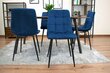 3-tooli komplekt Kara, sinine hind ja info | Söögitoolid, baaritoolid | kaup24.ee