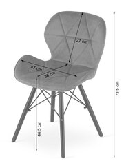 Набор из 2 стульев Lago, серый цена и информация | Стулья для кухни и столовой | kaup24.ee