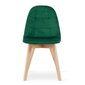 2-tooli komplekt Bora, roheline hind ja info | Söögilaua toolid, köögitoolid | kaup24.ee