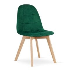 Набор из 3 стульев Bora, зеленый цвет цена и информация | Стулья для кухни и столовой | kaup24.ee