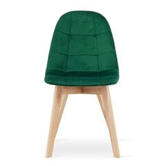 3-tooli komplekt Bora, roheline hind ja info | Söögilaua toolid, köögitoolid | kaup24.ee