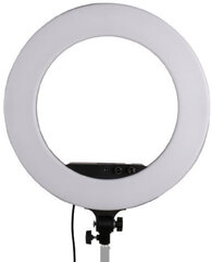 Ringvalgusti StudioKing LED Set LED-480ASK 230V цена и информация | Осветительное оборудование для фотосъемок | kaup24.ee