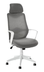 Офисное кресло, белое/серое цена и информация | Офисные кресла | kaup24.ee