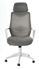 Офисное кресло, белое/серое цена и информация | Офисные кресла | kaup24.ee