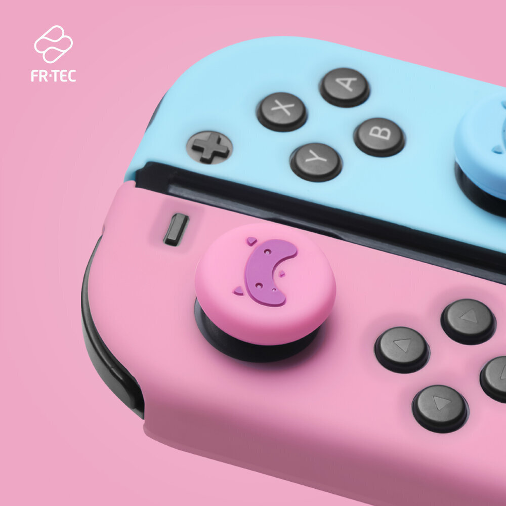 Kombineeritud pakett Joy Con Switch Tanooki hind ja info | Mängukonsoolide lisatarvikud | kaup24.ee