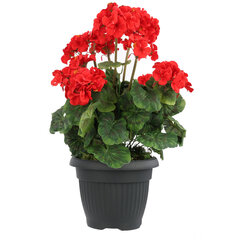 Plastist pott, 55x43x42 cm hind ja info | Dekoratiivsed lillepotid | kaup24.ee
