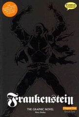 Frankenstein цена и информация | Фантастика, фэнтези | kaup24.ee