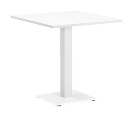 TABLE BISTRO FARO 70X80X74CM ALU WHITE MAT AW 324049 цена и информация | Кухонные и обеденные столы | kaup24.ee