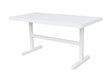 TABLE ELBA LUNCH 144X73X70CM ALU WHITE MAT цена и информация | Aialauad | kaup24.ee