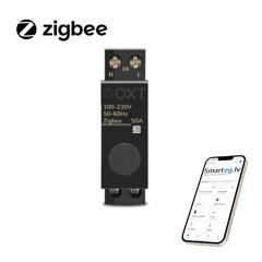 Переключатель ZigBee DIN 50A 19 мм цена и информация | Системы безопасности, контроллеры | kaup24.ee