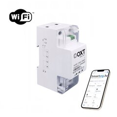 Voolumõõtja kontroller 65A Lite 2P DIN WiFi цена и информация | Системы безопасности, контроллеры | kaup24.ee