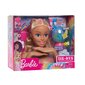Juukse modelleerimispea Barbie-le + tarvikud цена и информация | Tüdrukute mänguasjad | kaup24.ee