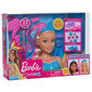 Nukupea Mermaid Barbie Dreamtopia + aksessuaarid hind ja info | Tüdrukute mänguasjad | kaup24.ee