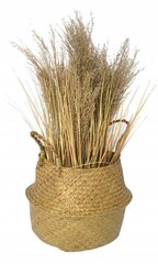 Natural woven seagrass basket S hind ja info | Dekoratiivsed lillepotid | kaup24.ee
