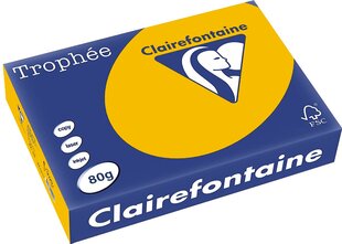 Värviline paber Clairefontaine Trophee A4/80gr, kollane hind ja info | Vihikud, märkmikud ja paberikaubad | kaup24.ee