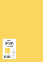 Kartong Favini Bristol 60,5x85cm/200gr, päikesekollane (53), 10 lehte hind ja info | Vihikud, märkmikud ja paberikaubad | kaup24.ee