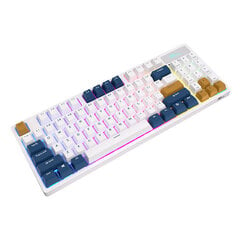 Mechanical keyboard Royal Kludge RK89 RGB, Lemon switch (white) цена и информация | Клавиатуры | kaup24.ee